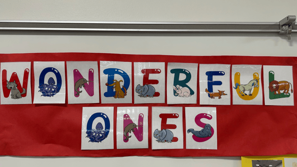 Image for Wonderful Ones