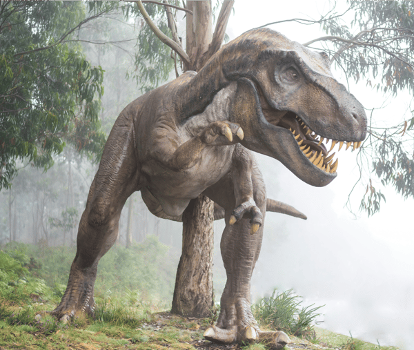 Picture for: Fossil Finders: Dino Dig Adventure
