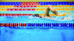 Picture for: Summer 2026 Adult Lap Swim