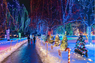 Course Bus Trip: Mankato Kiwanis Holiday Lights image 1