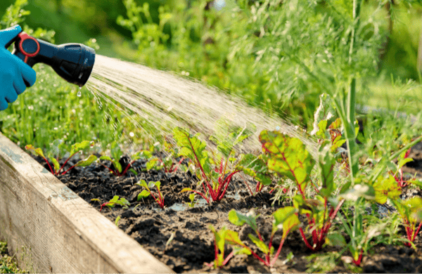 Picture for: Extending The Growing Season