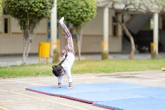 Picture for Rollers Gymnastics