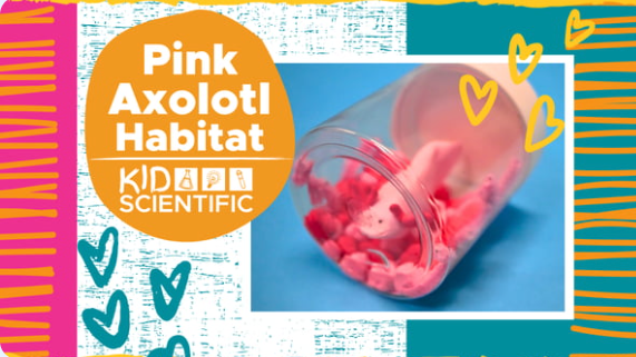 Picture for: Pink Axolotl Habitat