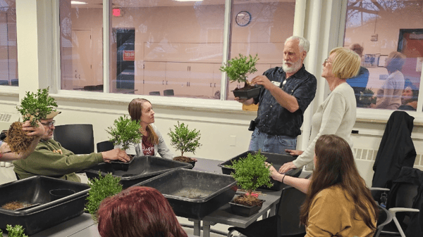 Picture for: Introduction to the Art of Bonsai