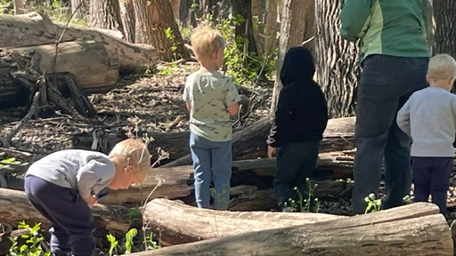 Image for ECFE at Westwood Hills Nature Center