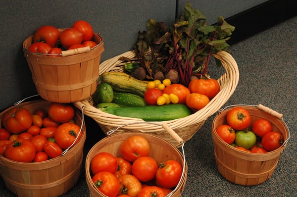 Picture for: Community Garden Plots