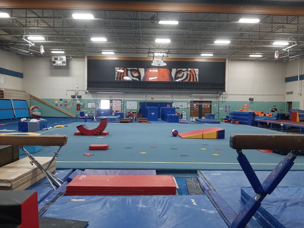 Picture for: 4- TNT Gymnastics & Parkour