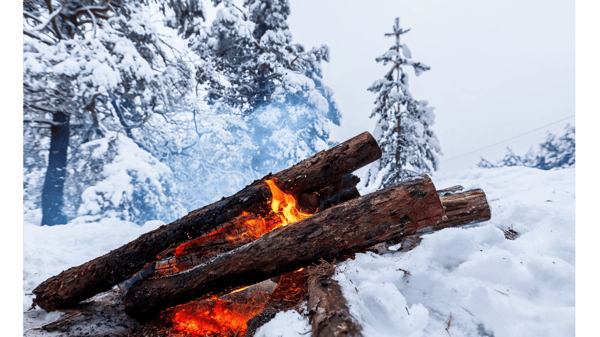 Course Winter Survival Camp image 1