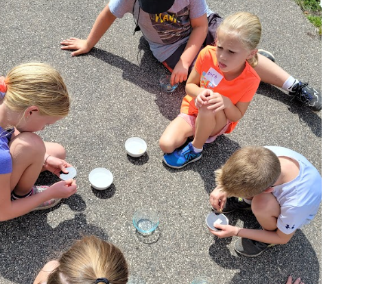 Picture for Nature Spa Camp