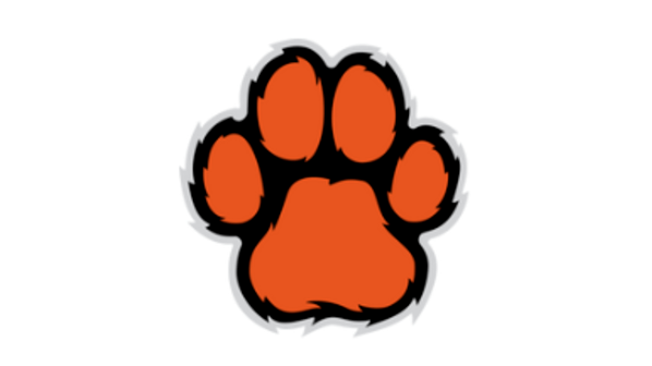 Image for Tiger Preschool 4 and 5-year-old classes