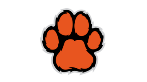 Image for Tiger Preschool 3, 4, and 5 year-old classes