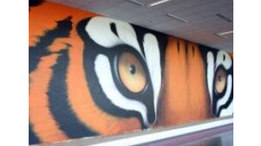 Image for Senior Photos by CE in August!