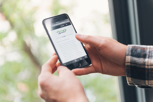 Picture for: Phone Photo Rescue Workshop for Beginners!