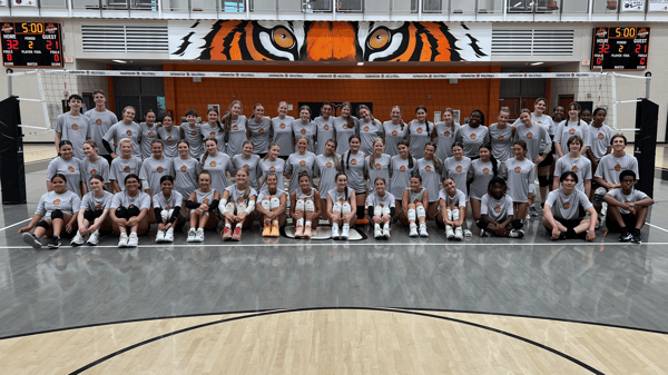 Course Farmington Tiger Co-Ed Volleyball Camps image 1