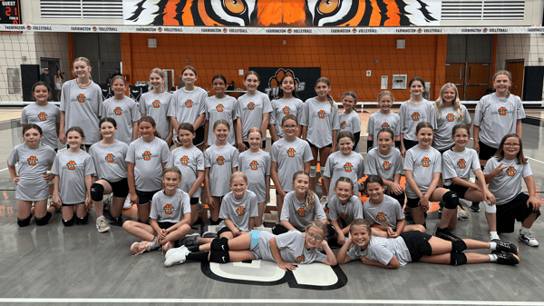 Picture for Farmington Tiger Co-Ed Volleyball Camps