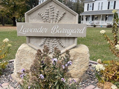 Picture for: Restful Yoga at The Lavender Barnyard