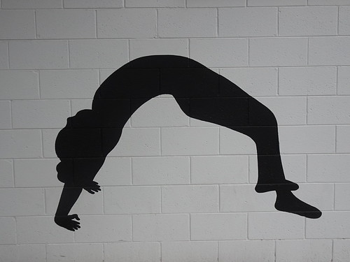 Picture for: Rec TEAM Gymnastics