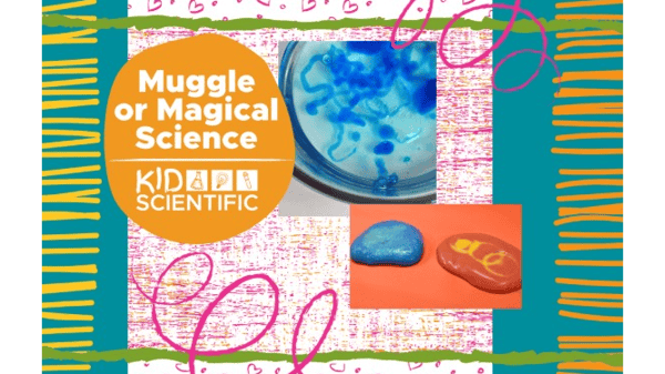 Picture for: Muggle or Magical Science