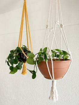 Picture for: Macrame Plant Holder