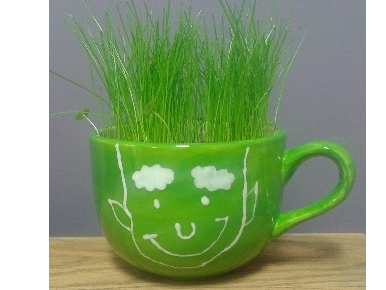 Course Artistic Me: Let it Grow! image 1