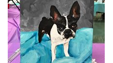 Picture for: Canvas Fun: Pet Portraits