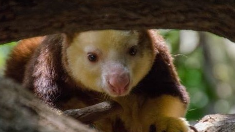 Picture for: Minnesota Zoo Field Trip