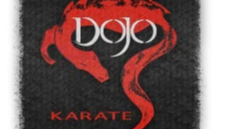 Picture for: Karate Basics