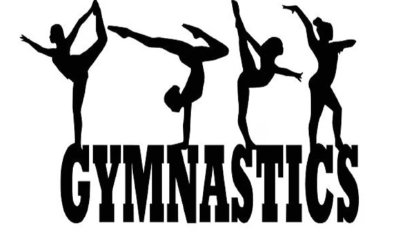 Image for Gymnastics Jr. Bison PreTeam and Team A December Invited