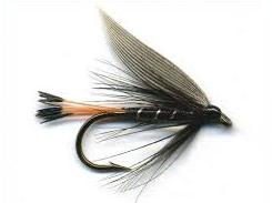 Adult, fishing, flies, lures, trout