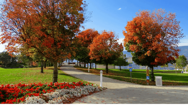 Picture for Fall Lawn Care