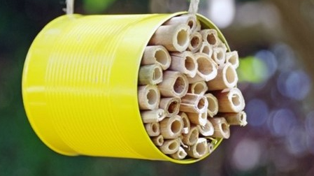 Course Bee Houses Parent/Child Ages 5-10 image 1