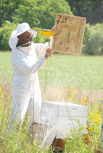 acronyms, assisi heights, beekeeper, beekeeping, buzz words, club meeting, ed simon, honey, keeping bees, minnesota winter, shad, southeast minnesota