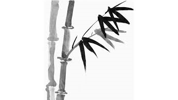 Picture for Asian Brush Painting: Beginner