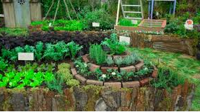 Picture for Introduction to Permaculture Design and Its Applications