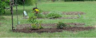 Picture for: Live Green/Leave Green – What Will Be Your Legacy?