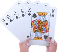 Picture for: Beginners Bridge Class