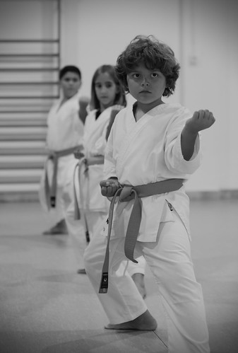 Picture for: National Karate Studio: Intro to Karate (Gr. K-3)
