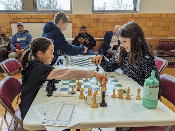 Course Rochester Scholastic Chess Tournament (Gr. K-8) image 1