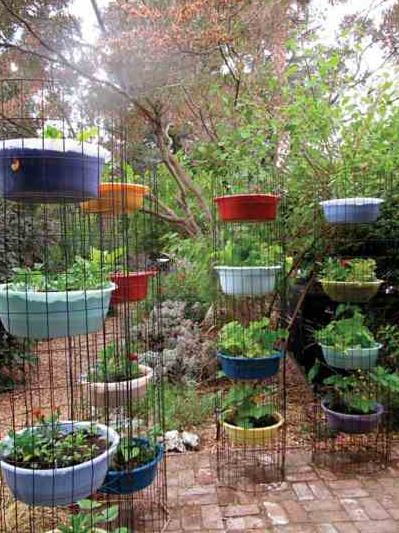 Course Anatomy of an Urban Homestead image 1