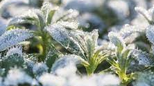 Course Winter Sowing image 1