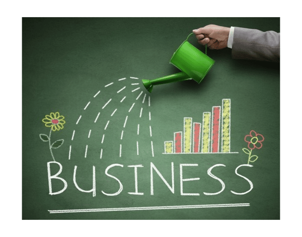 Picture for: From Idea to Action: How to Start Your Business