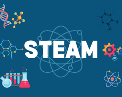 Picture for STEAM!