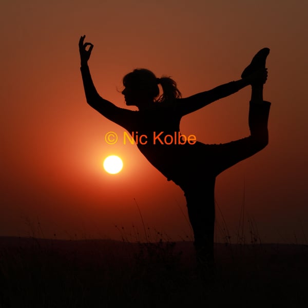 Picture for The Healing Practice of Yoga