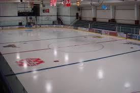 Picture for Skating School