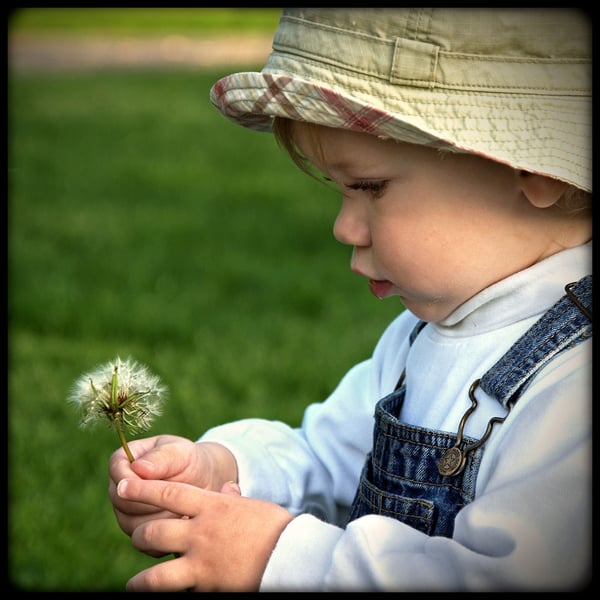 Picture for: Exploring Nature & the Great Outdoors