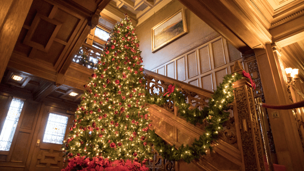 Course Christmas In Duluth -SSP image 3
