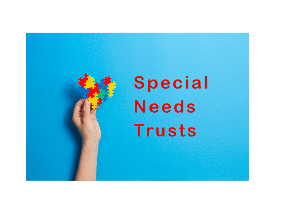 Picture for: The Special Needs Trust: Estate Planning for Families with Special Needs Members (Online)