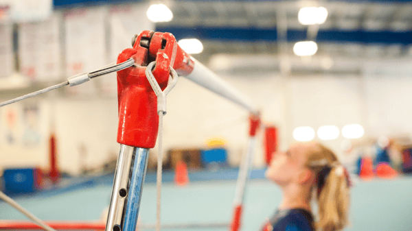 Picture for: Gymnastics - Flips (Coach Approval)