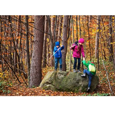 Image for Garlough: Forest Play Club (Grades: K-1)