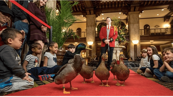 Course Graceland and Memphis TN SSP Tour image 5